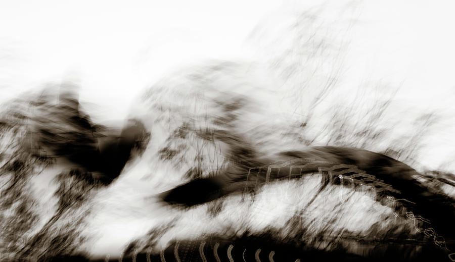 Angry Abstract Photograph by Marilyn Hunt