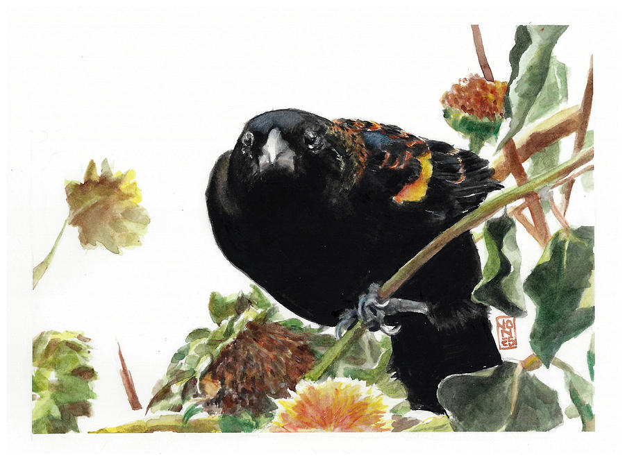 Blackbird Painting - Angry Blackbird by Debra Jones