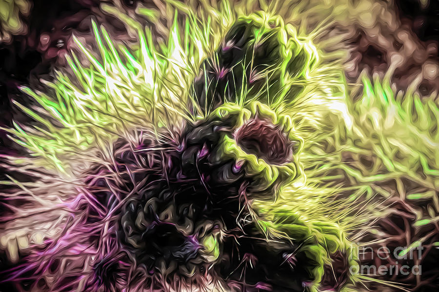 Angry Cholla Monkey Nebula Photograph by Stefan H Unger