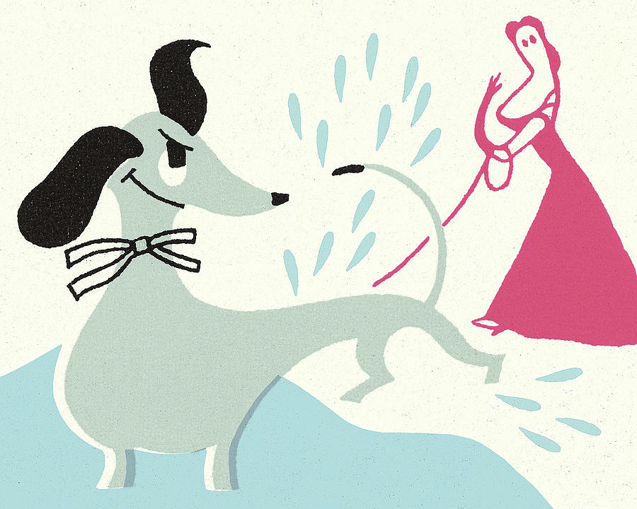 Music Drawing - Angry Dog Splashing Water on Woman by CSA Images