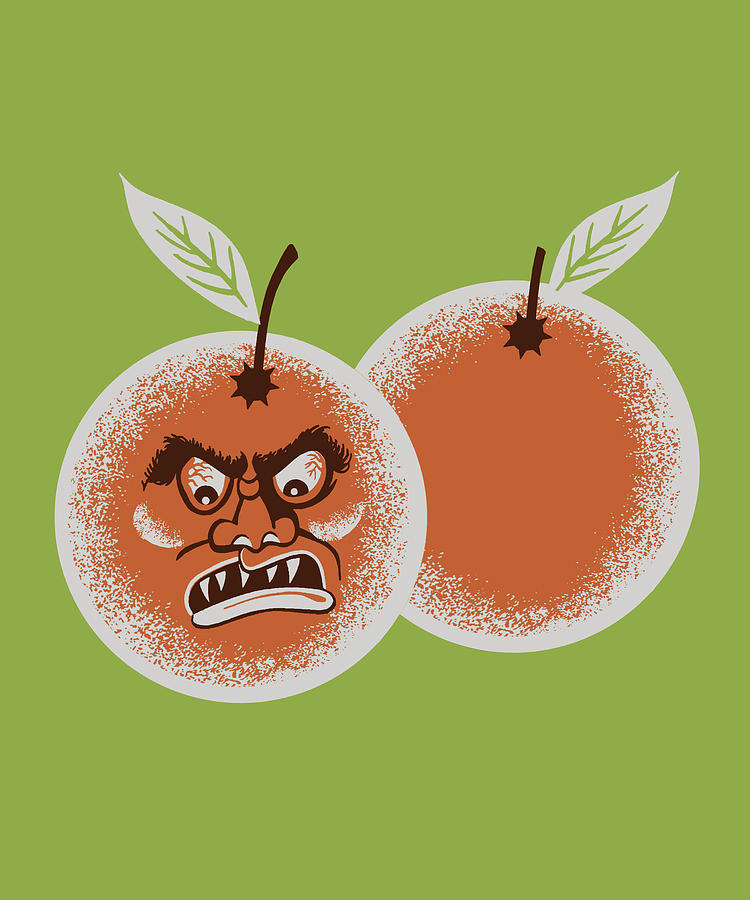 Vintage Drawing - Angry Oranges by CSA Images