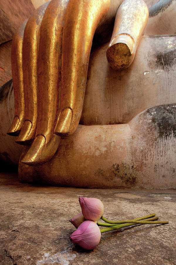 Anicient City Sukhothai, Thailand Photograph by Nobythai Anicient City Sukhothai, Thailand Photograph by Nobythai