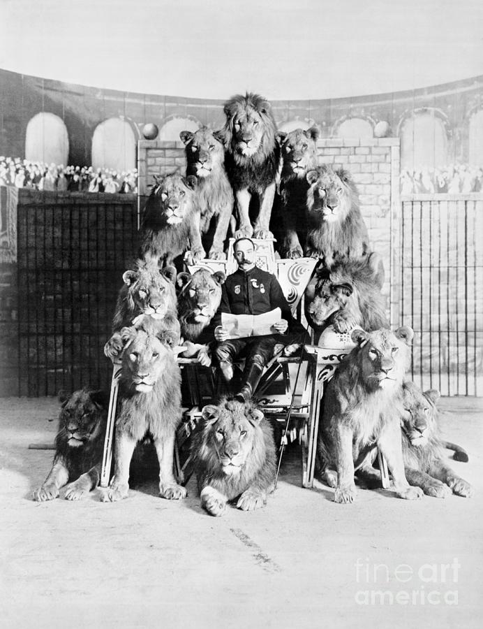 Animal Trainer Posing With Lions Photograph by Bettmann