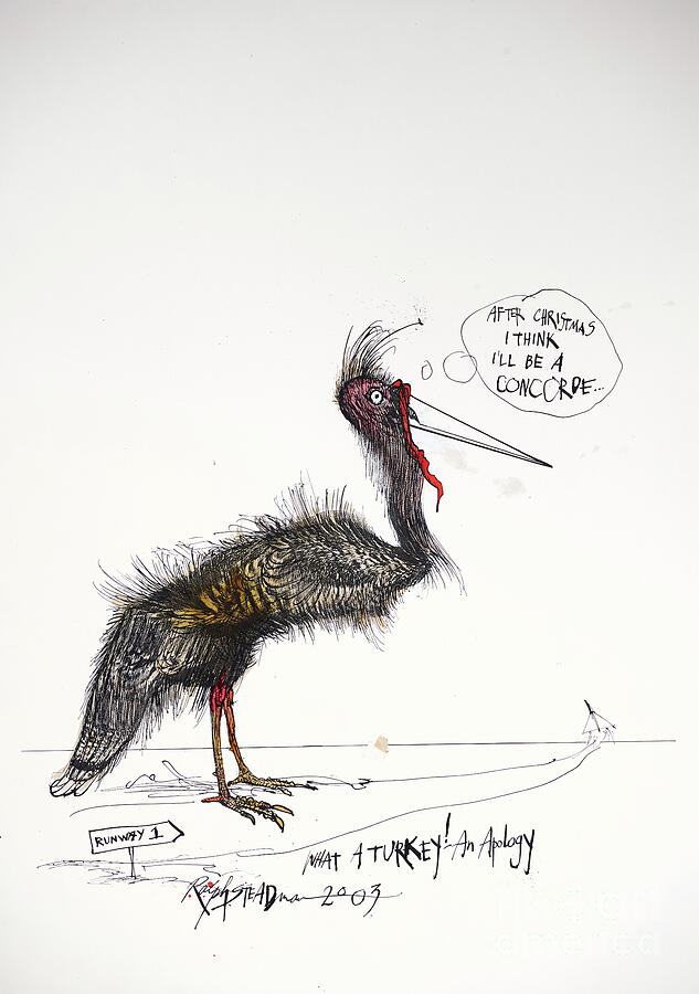 Animals (birds) 3, What A Turkey! An Apology, 2003 (drawing) Drawing by ...