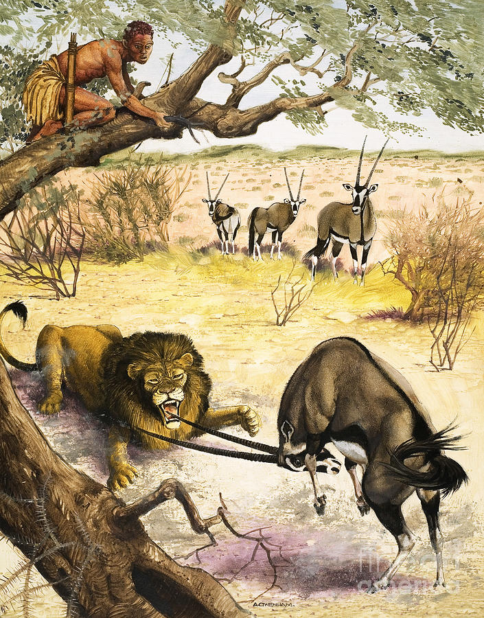 Animals Found In The Kalahari Desert Painting by Arthur Oxenham - Fine Art  America