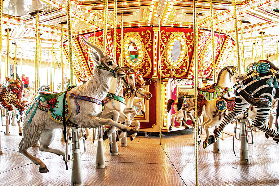 Animals on the Carousel Photograph by William E Rogers - Fine Art America