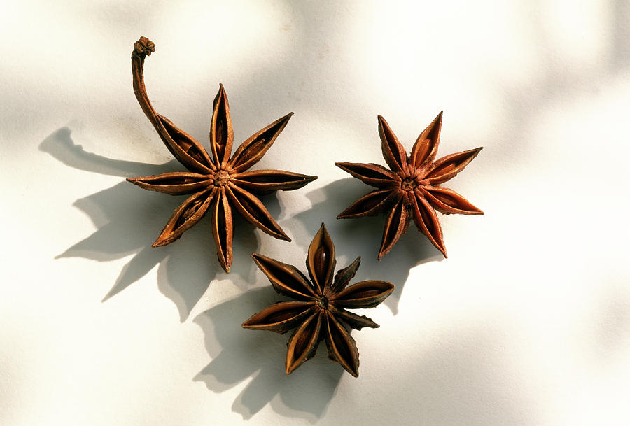 Anis etoile Ou Badiane Star Anise Photograph by Hussenot - Photocuisine ...