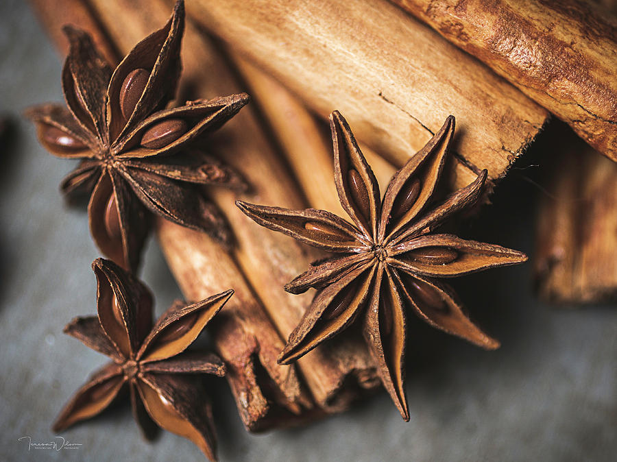Anise And Cinnamon 4864 By Tl Wilson Photography Photograph
