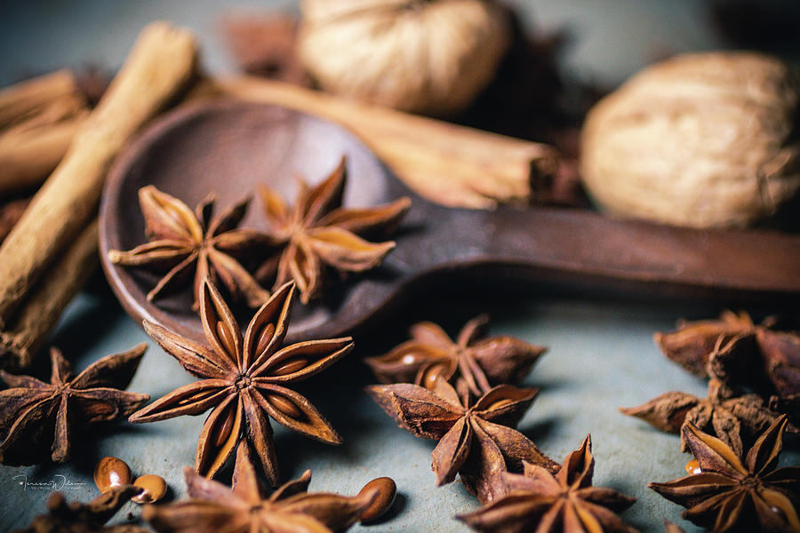 Anise, Cinnamon, and Walnuts  4837 by TL Wilson Photography  Photograph by Teresa Wilson