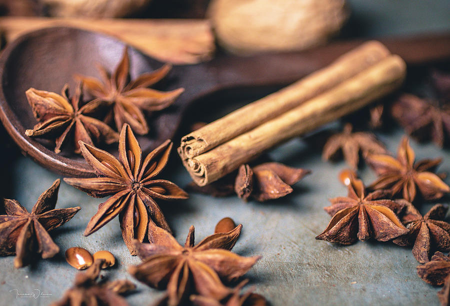 Anise, Cinnamon, and Walnuts  4840 by TL Wilson Photography  Photograph by Teresa Wilson