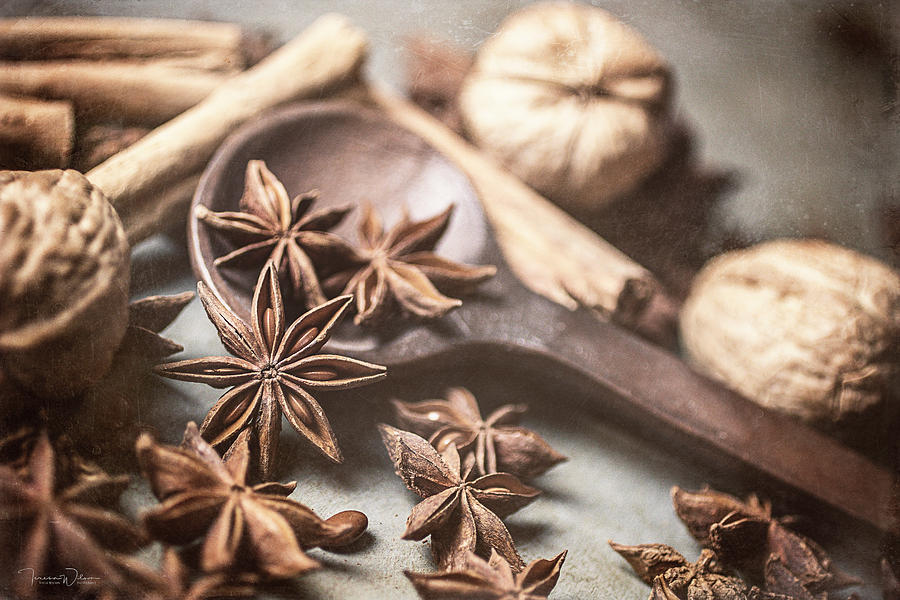 Anise, Cinnamon, and Walnuts by TL Wilson Photography  Photograph by Teresa Wilson