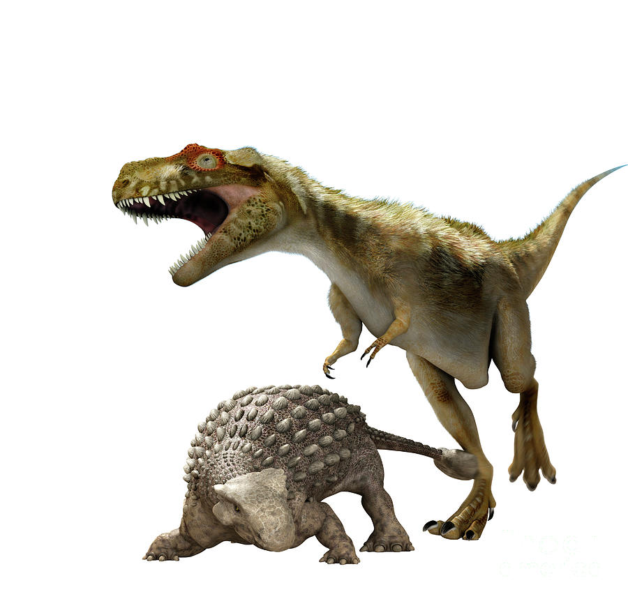 ankylosaurus vs t rex