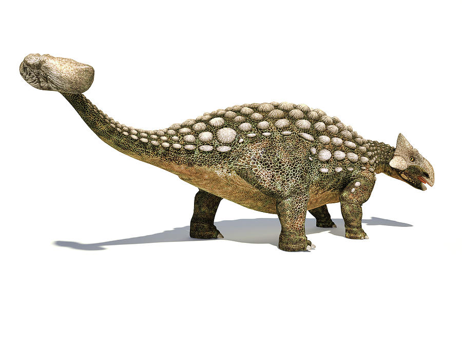 new ankylosaurus