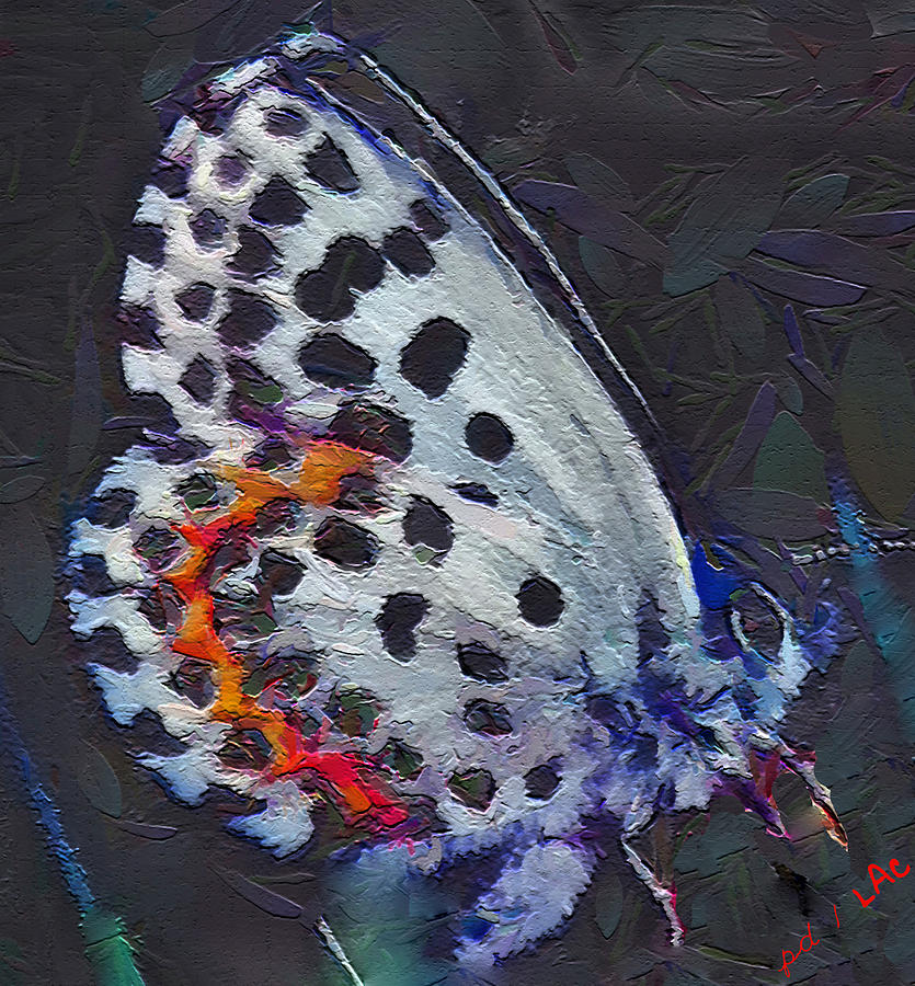 Ann Butterfly #2 Painting by Doggy Lips