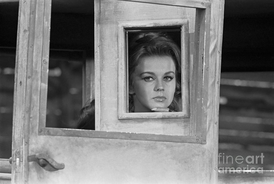 Ann-margret Looking Thru Window Photograph by Bettmann