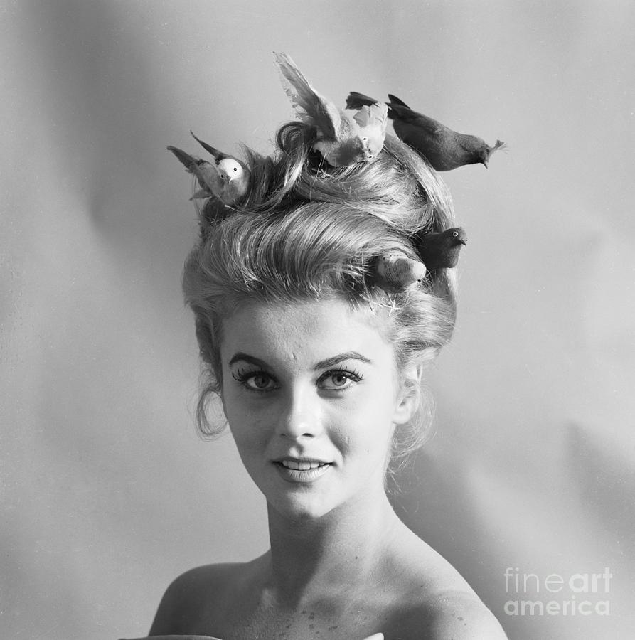 Ann-margret With Birdie Hairdo Photograph by Bettmann