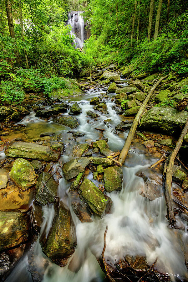 Anna Ruby Falls Twin Waterfalls Curtis Creek Falls York Creek Falls Form Smith Creek Art Photograph by Reid Callaway