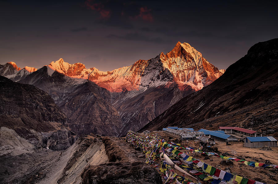 Sunset Photograph - Annapurna Base Camp by Richard Le Manz