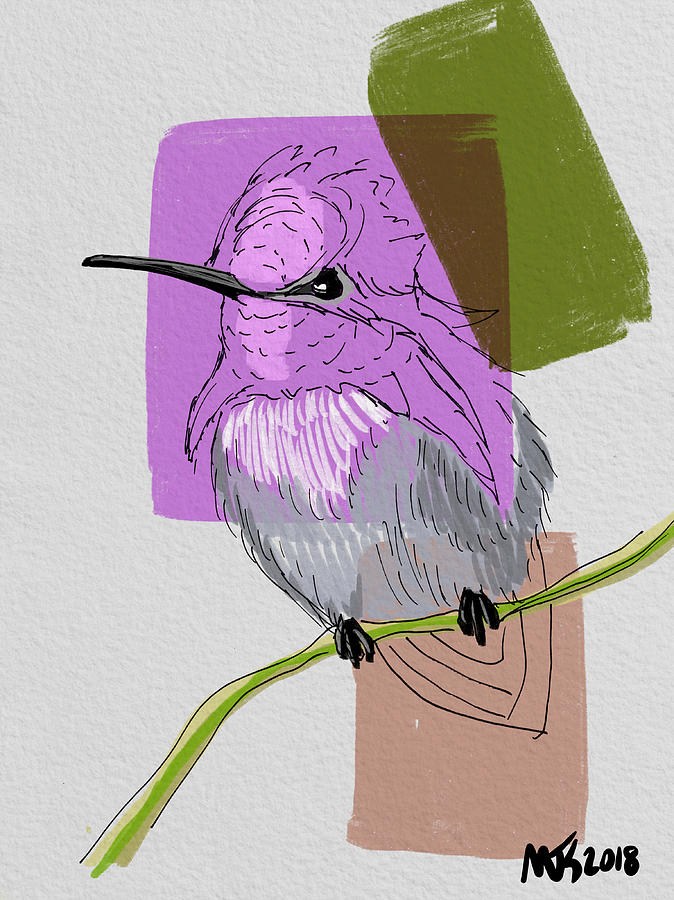 Annas Hummingbird  Digital Art by Michael Kallstrom