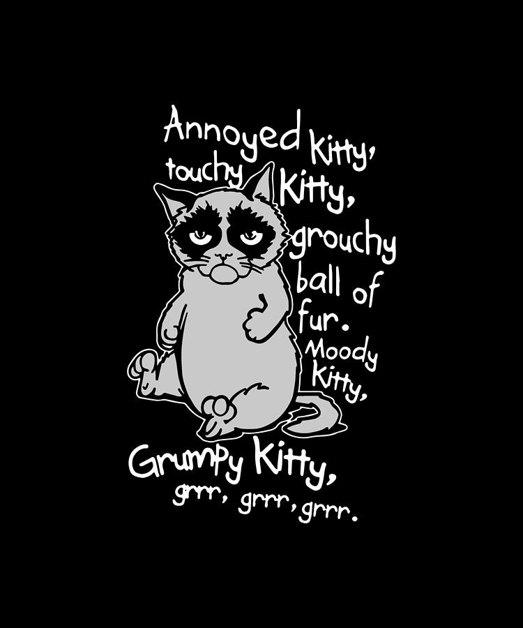 Annoyed Litty Touchy Kitty Grouchy Ball Of Fur Moody Kitty Grumpy Kitty ...