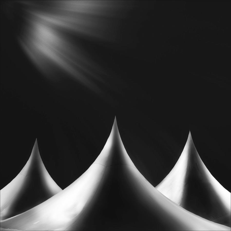 Black And White Photograph - Annua by Marco Antonio