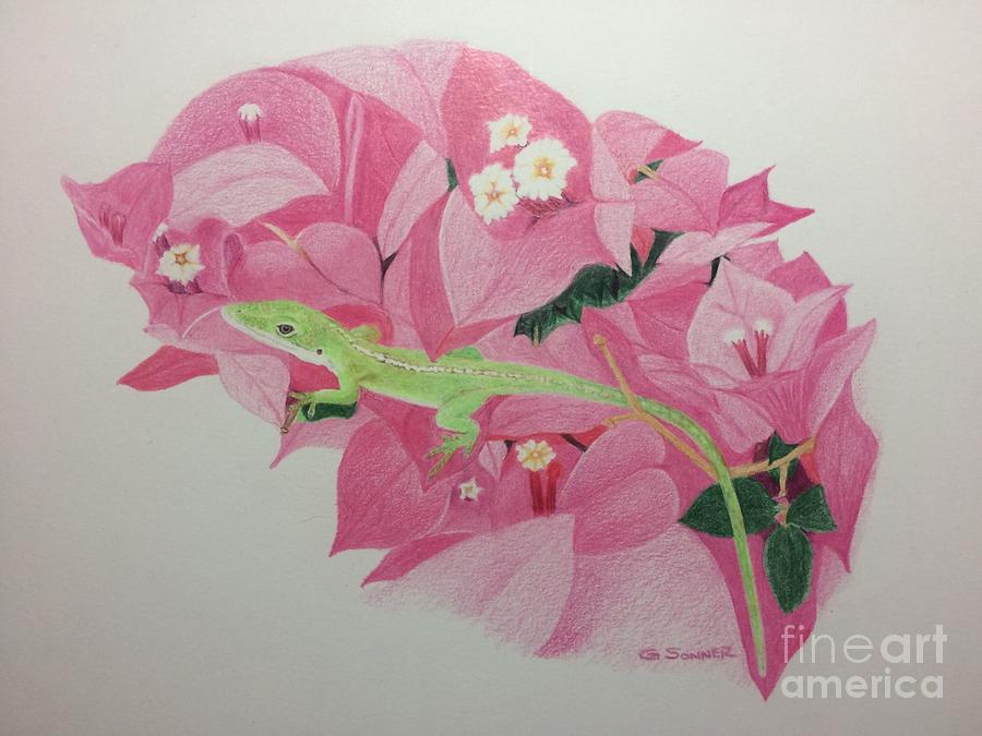 Anole in Kauai  Drawing by George Sonner