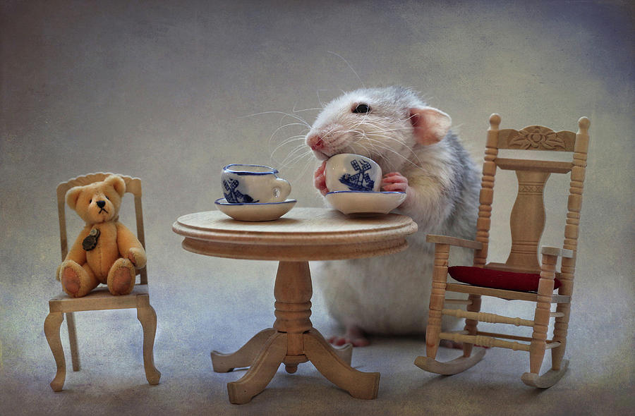 Добрые хомячки. Эллен Ван Дилен крысы. Мыши пьют чай. Мыши за столом. Доброе утро хомячок.