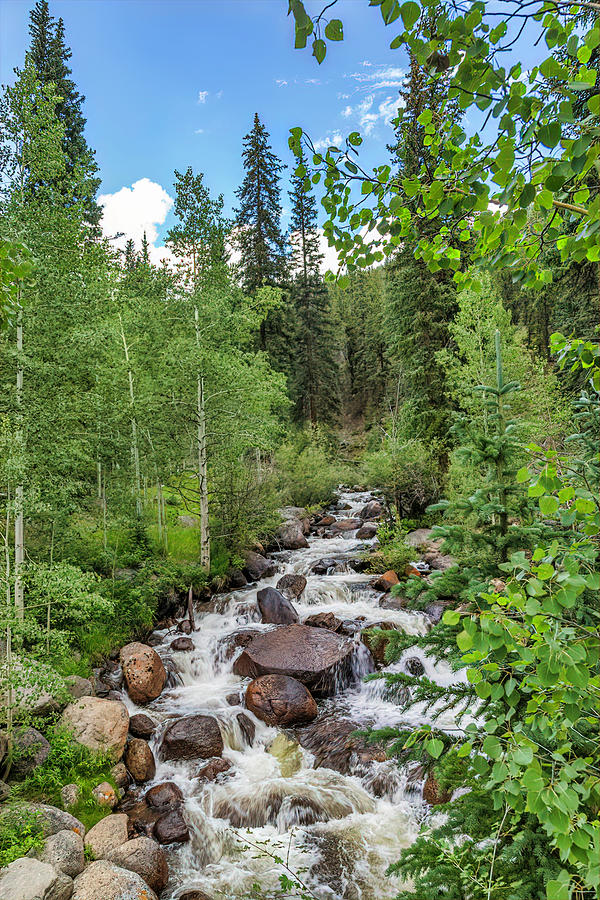 Another Guanella Pass Waterfall Photograph by Lorraine Baum