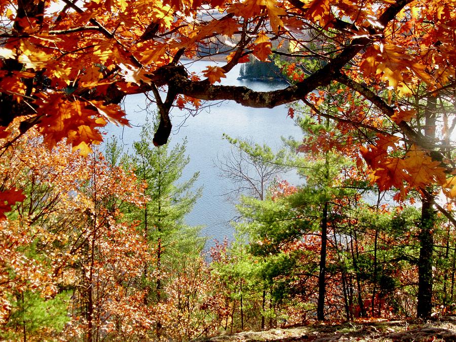 Another lake view by Stephanie Moore Another lake view by Stephanie Moore