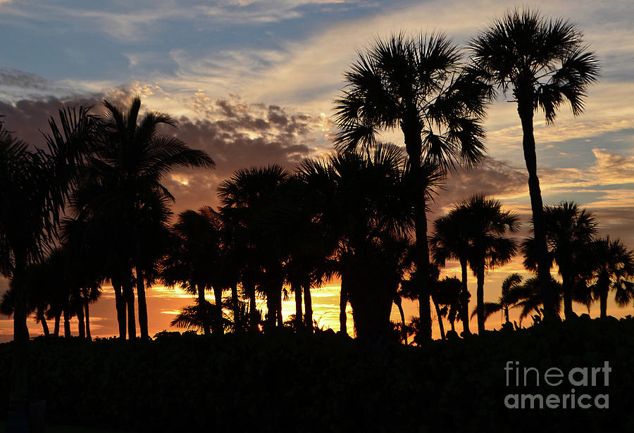 Another Marco Island Sunset Photograph