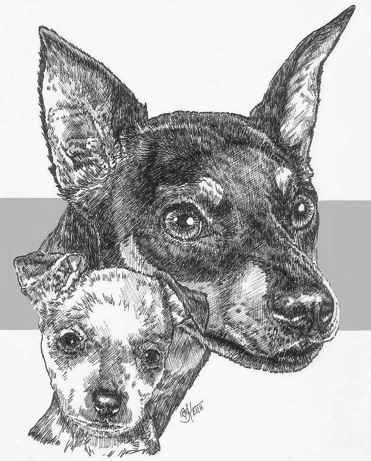 Another Miniature Pinscher and Pup Drawing by Barbara Keith