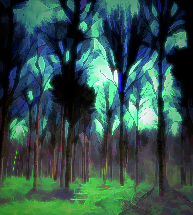 Another World - Forest Digital Art by Scott Lyons