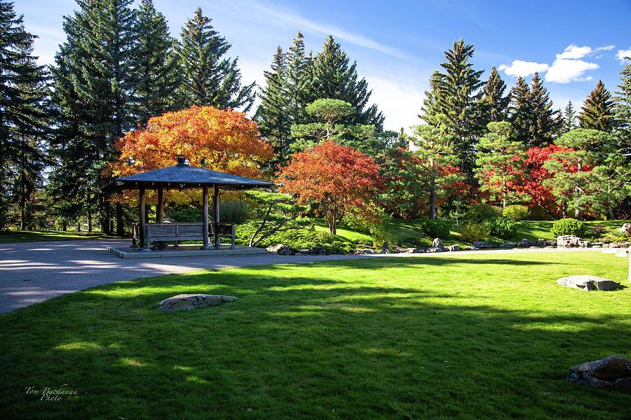 Another Zen Moment by Tom Buchanan Another Zen Moment by Tom Buchanan