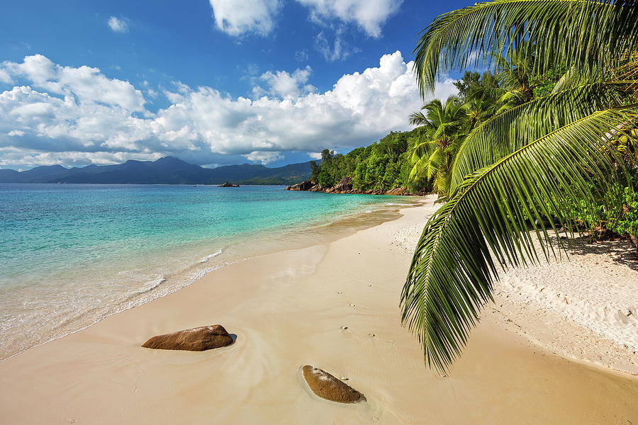 Anse Soleil Beach, Seychelles Digital Art by Reinhard Schmid