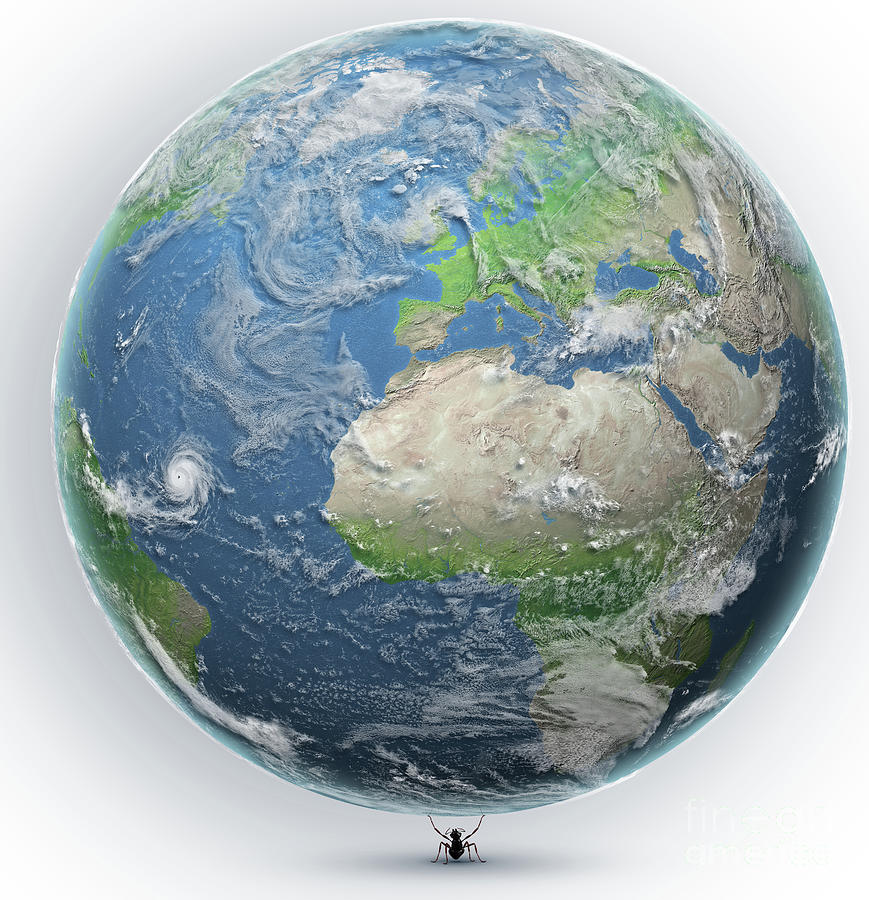 Ant Lifting The Earth Photograph by Claus Lunau/science Photo Library