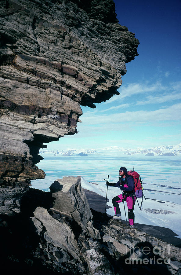Antarctic Climber Photograph by British Antarctic Survey/science Photo Library