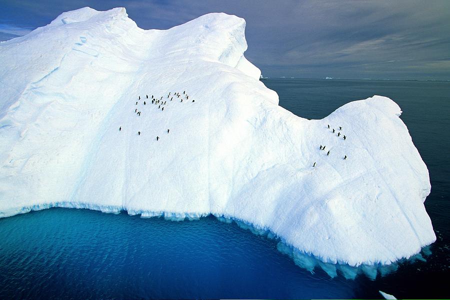 Antarctic, Iceberg Digital Art by Roberto Rinaldi