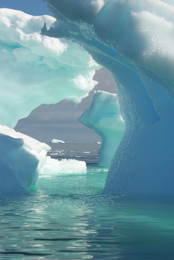 Antarctic Icebergs Photograph by Robin Galloway