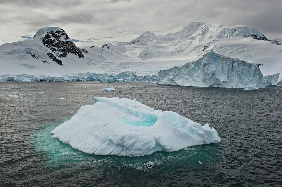 Antarctic Peninsula, Antarctica Photograph by Enrique R. Aguirre Aves