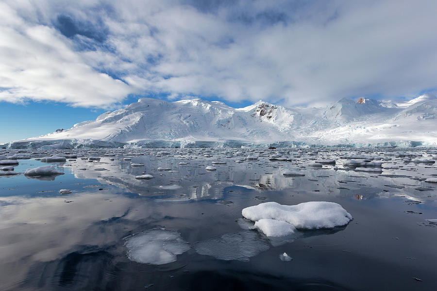 Antarctic Reflections Photograph by Lauri Novak