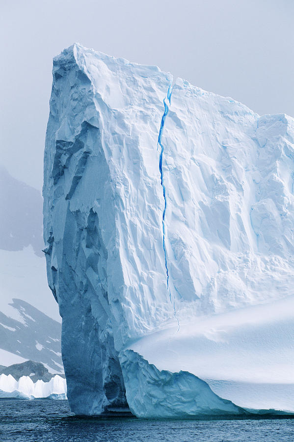 Antarctica, Antarctic Peninsula Photograph by Paul Souders