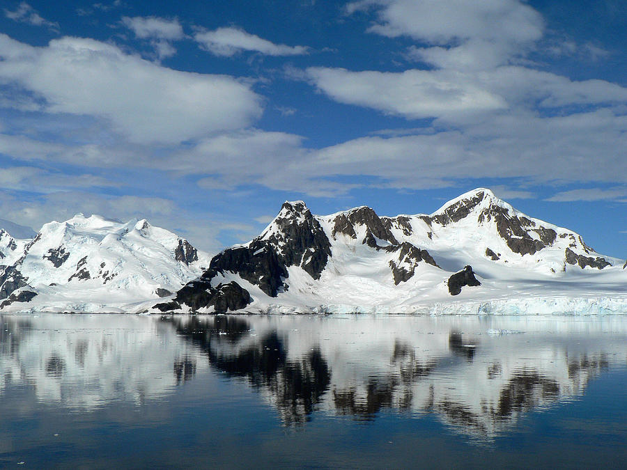 Antarctica Paradise Harbour Photograph by Photo, David Curtis