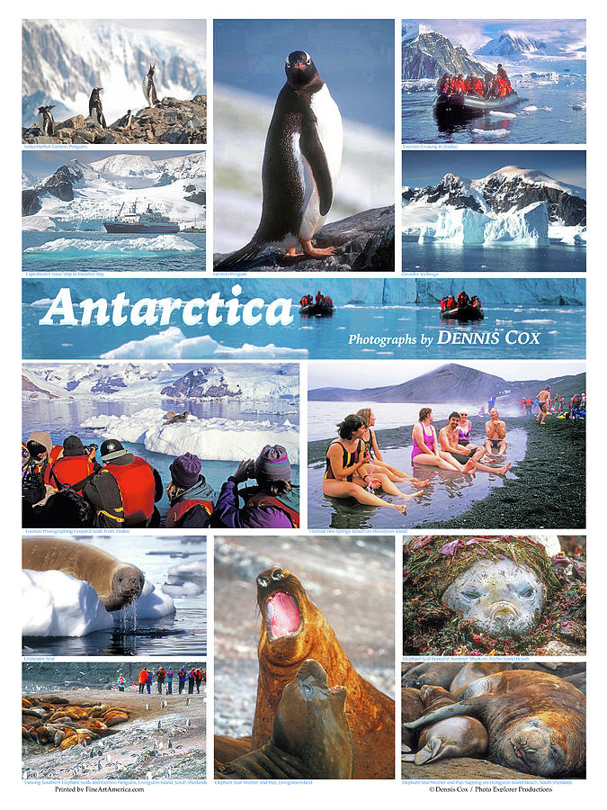 Antarctica Travel Poster Photograph