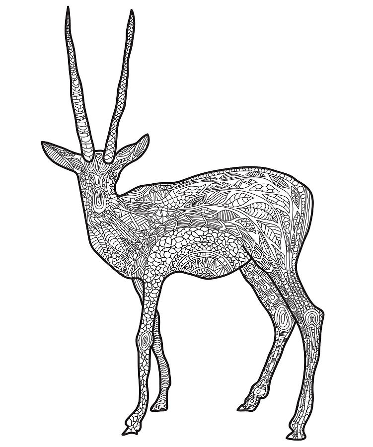 Animal Digital Art - Antelope by Bob Weer