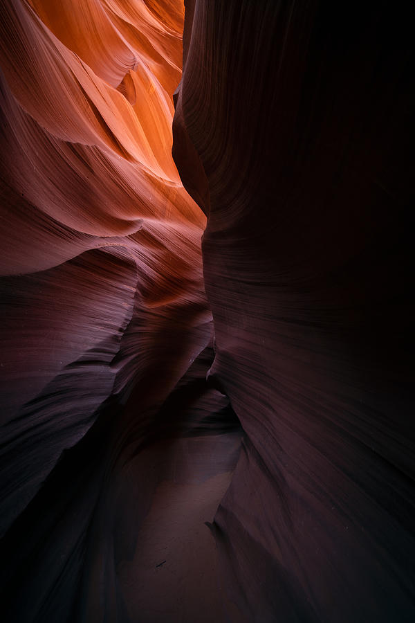 Antelope Canyon Photograph by Karol Nienartowicz