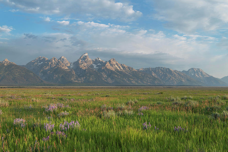 Antelope Flats, Grand Teton National Photograph by Alan Majchrowicz ...