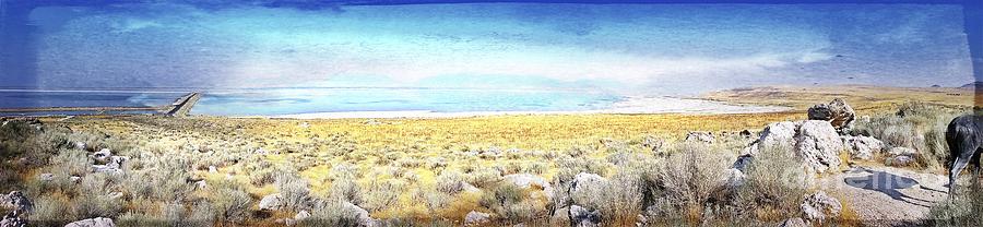 Antelope Island Photograph by Kathy Strauss
