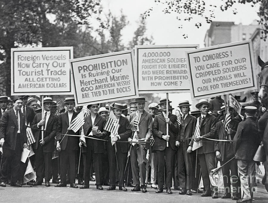 Anti-prohibition Demonstration Photograph by Bettmann