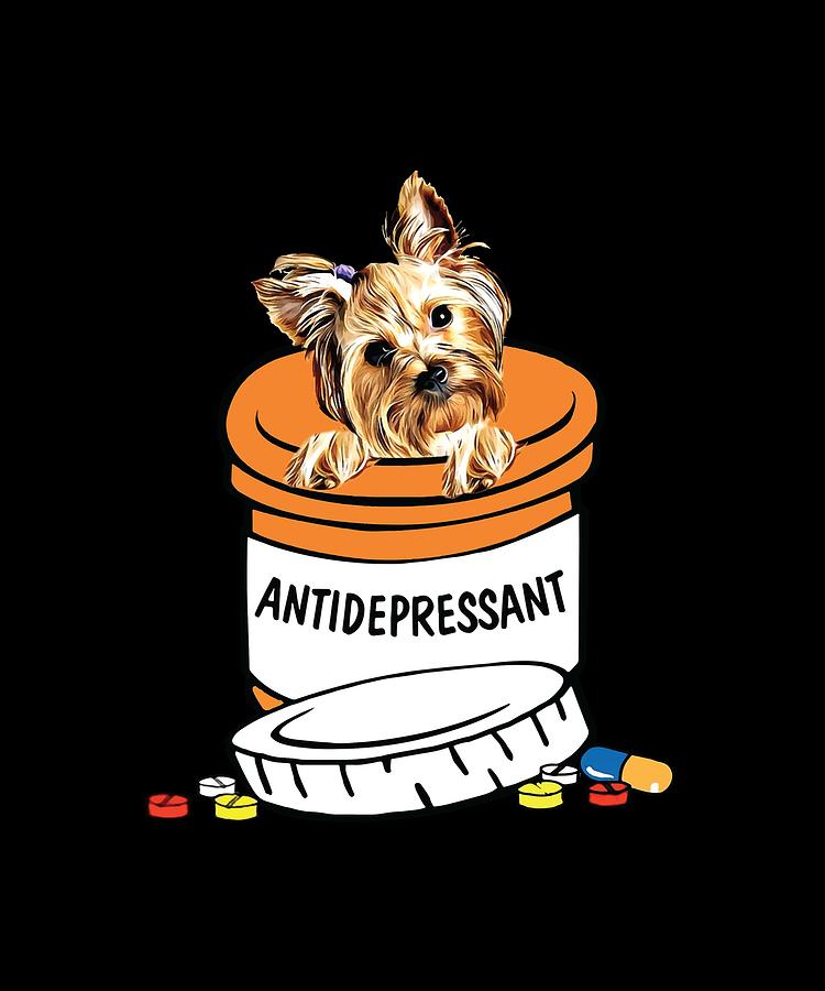 can dogs take antidepressants