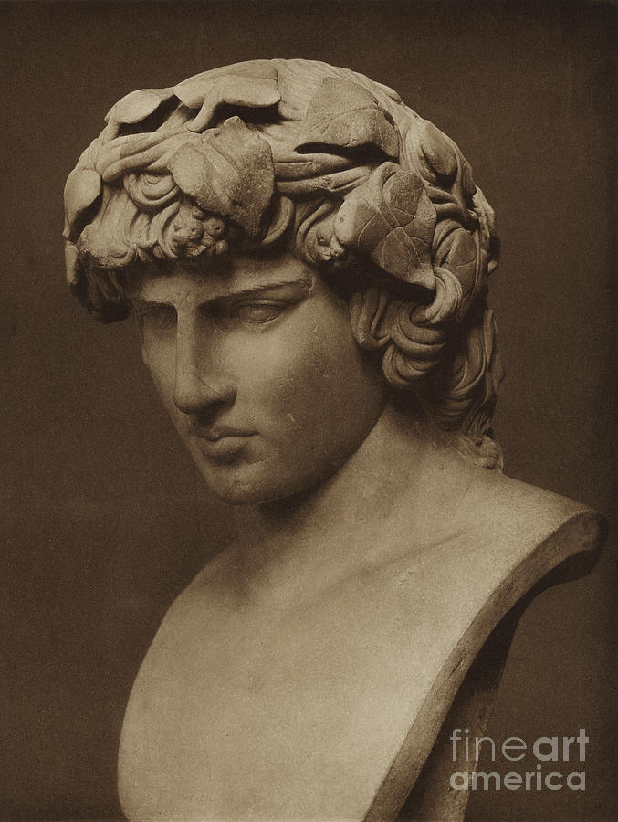 Antinous Photograph by English Photographer